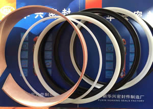 液壓密封件1